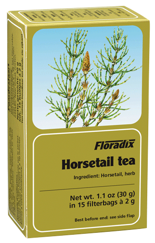 Salus House Horsetail Herb Tea Bags (15 Bags)